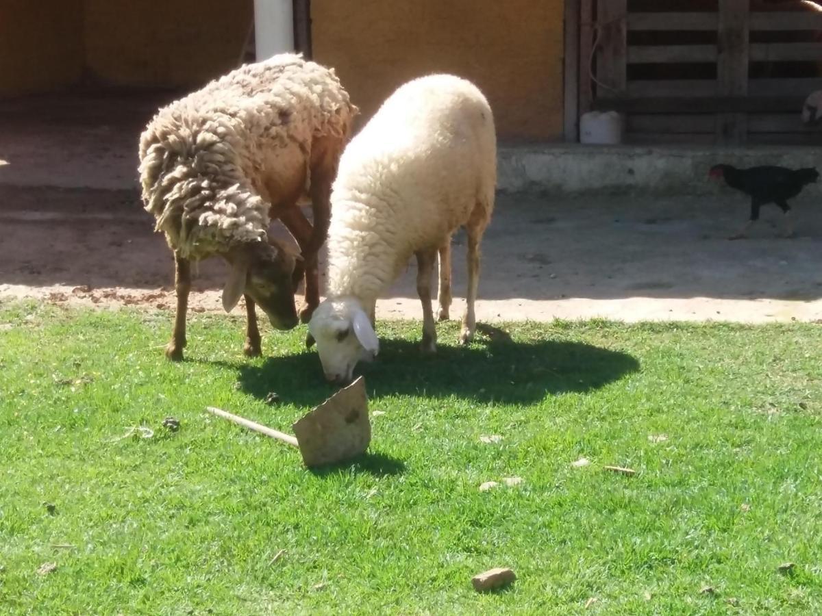 Molise Hotel Fazenda Serra Negra  Esterno foto